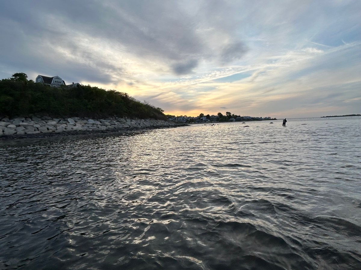 Trial, Error, and&nbsp;Success